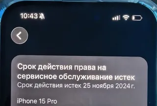 Фото к отзыву