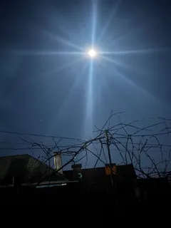 Фото к отзыву