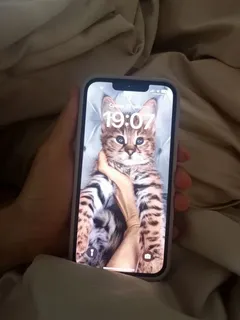 Фото к отзыву